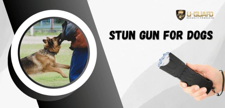 Stun Gun vs Dog Repellents: Choosing Effective Protection