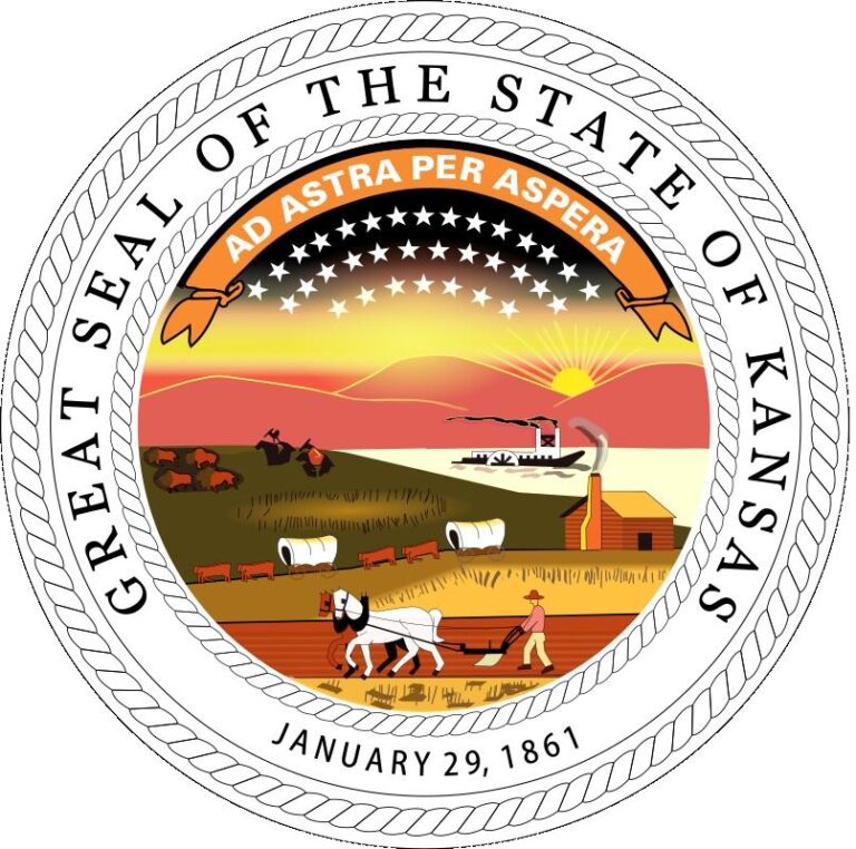 Understanding Kansas Stun Gun Laws and Travel Tips