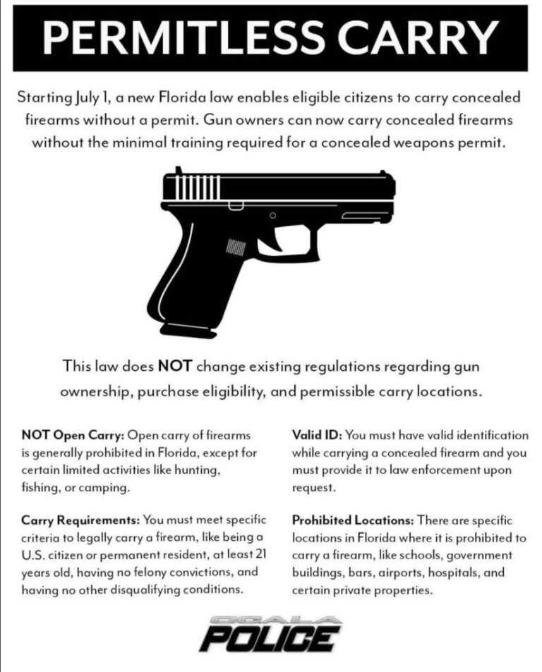 Concealed Carry Laws: Tasers vs Stun Guns Explained