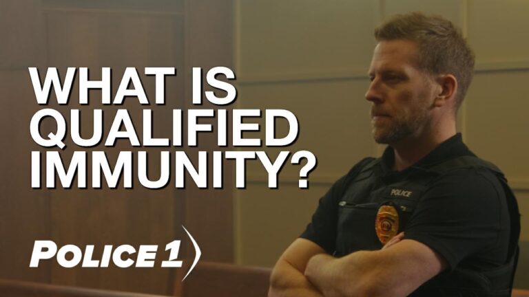 Qualified Immunity and Police Use of Tasers on Students